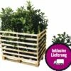 FloraSelf 35 X Kirschlorbeer, Lorbeerkirsche Prunus Laurocerasus 'Caucasica' H 80-100 Cm ClickCo Für Ca. 14 M Hecke -Hornbach Gartenmarkt DV 8 10013271 04 4c DE 20200220154757