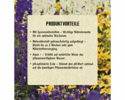 Blumenerde Leicht FloraSelf Select (42 Sack X 25 Liter=1,05 M³) 1 Palette -Hornbach Gartenmarkt DV 8 10091403 06 4c AT 20220412181751