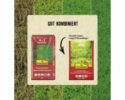 Rasendünger FloraSelf Select 4kg 100 M² -Hornbach Gartenmarkt DV 8 10193736 02 4c AT 20220728161658