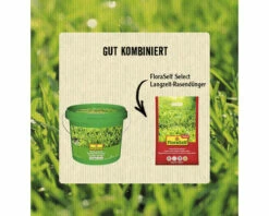Rasendünger FloraSelf Select 4kg 100 M² -Hornbach Gartenmarkt DV 8 10193736 04 4c AT 20220917214653
