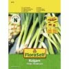 Lauchzwiebel 'Kaigaro' FloraSelf Samenfestes Saatgut Gemüsesamen -Hornbach Gartenmarkt DV 8 10319866 01 4c AT 20200730151759
