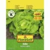 Kopfsalat 'John' FloraSelf Samenfestes Saatgut Salatsamen -Hornbach Gartenmarkt DV 8 10319869 01 4c AT 20200730154651