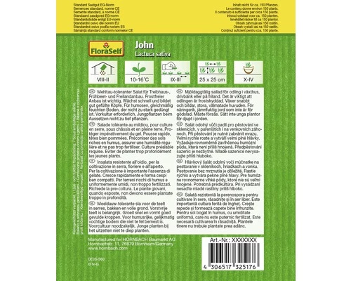 Kopfsalat 'John' FloraSelf Samenfestes Saatgut Salatsamen 4 Kopfsalat 'John' FloraSelf Samenfestes Saatgut Salatsamen – Bild 2