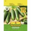 Snack-Gurke Salamanda' FloraSelf F1 Hybride Gemüsesamen -Hornbach Gartenmarkt DV 8 10320031 01 4c AT 20200730153408