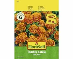 Tagetes 'Tiger Eyes' FloraSelf Samenfestes Saatgut Blumensamen