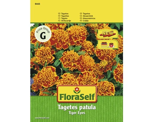 Tagetes 'Tiger Eyes' FloraSelf Samenfestes Saatgut Blumensamen 3 Tagetes 'Tiger Eyes' FloraSelf Samenfestes Saatgut Blumensamen