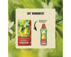 Zitrus- Und Mediterranpflanzenerde FloraSelf Select 18 L -Hornbach Gartenmarkt DV 8 10342578 04 4c AT 20220804104752