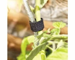 Universal-Klettbinder FloraSelf 12mm X 5m -Hornbach Gartenmarkt DV 8 10356589 02 4c AT 20201113081755