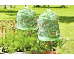 Tomaten Folienhaube FloraSelf Mitwachsend Ø 65 Cm H 125 Cm 5 Stk -Hornbach Gartenmarkt DV 8 10356590 01 4c AT 20201113051752