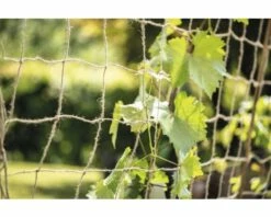 Jute Ranknetz FloraSelf Nature 180x250cm -Hornbach Gartenmarkt DV 8 10356592 03 4c AT 20201111181800