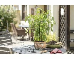 FloraSelf Blumenstützen Blumenhalter Ø 15 Cm 1 Stk. -Hornbach Gartenmarkt DV 8 10356598 03 4c AT 20201112171653