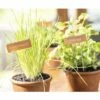 Pflanzenschilder FloraSelf Kupfer 10 Stk. 1 Pflanzenschilder FloraSelf Kupfer 10 Stk. -Hornbach Gartenmarkt DV 8 10356612 03 4c AT 20220422161657