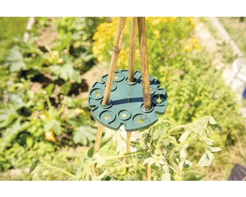 FloraSelf Rankhilfe Stabhalter Scheibe 2 Stk. 5 FloraSelf Rankhilfe Stabhalter Scheibe 2 Stk. – Bild 3