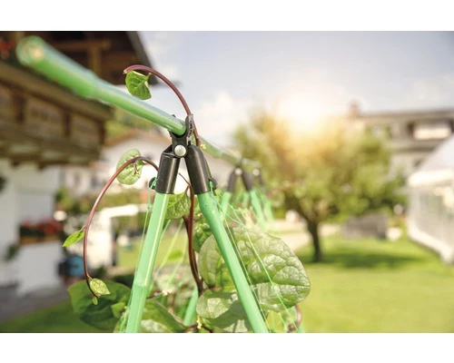 FloraSelf Rankhilfe Stabhalter Ø 1,6 Cm 4 Stk. 6 FloraSelf Rankhilfe Stabhalter Ø 1,6 Cm 4 Stk. – Bild 4