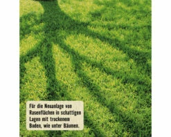 Schattenrasen Für Trockenlagen FloraSelf Select 1 Kg / 35 M² -Hornbach Gartenmarkt DV 8 10363059 02 4c AT 20230130151753
