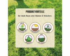 Schattenrasen Für Trockenlagen FloraSelf Select 1 Kg / 35 M² -Hornbach Gartenmarkt DV 8 10363059 04 4c AT 20230130151753