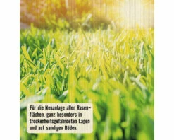 Trockenrasen - Klimarasen FloraSelf Select 2,8 Kg / 100 M² 7 Trockenrasen - Klimarasen FloraSelf Select 2,8 Kg / 100 M² -Hornbach Gartenmarkt DV 8 10363071 04 4c AT 20230125111752