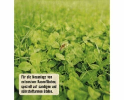 Klimarasen Mit Klee FloraSelf Select 1 Kg / 40 M² -Hornbach Gartenmarkt DV 8 10363074 02 4c AT 20230125111752
