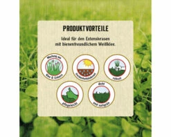 Klimarasen Mit Klee FloraSelf Select 1 Kg / 40 M² -Hornbach Gartenmarkt DV 8 10363074 04 4c AT 20230125111752