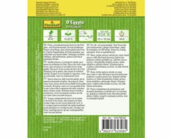 Rote Beete 'D'Egypte' FloraSelf Samenfestes Saatgut Gemüsesamen 5 Rote Beete 'D'Egypte' FloraSelf Samenfestes Saatgut Gemüsesamen -Hornbach Gartenmarkt DV 8 10476032 01 4c AT 20220114084650