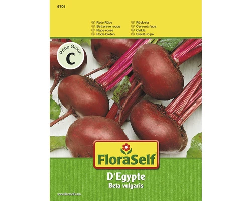 Rote Beete 'D'Egypte' FloraSelf Samenfestes Saatgut Gemüsesamen 3 Rote Beete 'D'Egypte' FloraSelf Samenfestes Saatgut Gemüsesamen