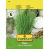 Schnittlauch 'Staro' FloraSelf F1 Hybride Kräutersamen -Hornbach Gartenmarkt DV 8 10476046 01 4c AT 20220114084650