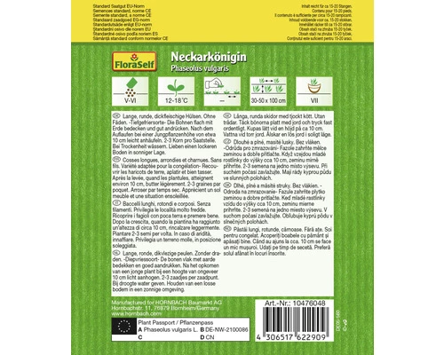 Stangenbohnen 'Neckarkönigin' FloraSelf Samenfestes Saatgut Gemüsesamen 4 Stangenbohnen 'Neckarkönigin' FloraSelf Samenfestes Saatgut Gemüsesamen – Bild 2