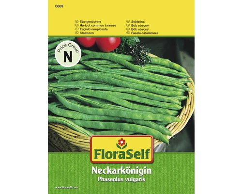 Stangenbohnen 'Neckarkönigin' FloraSelf Samenfestes Saatgut Gemüsesamen 3 Stangenbohnen 'Neckarkönigin' FloraSelf Samenfestes Saatgut Gemüsesamen