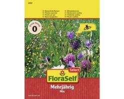 Bienenfutterpflanzen, Mehrjährig FloraSelf Samenfestes Saatgut Blumensamen