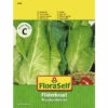 Weißkohl 'Filderkraut' FloraSelf Samenfestes Saatgut Gemüsesamen 2 Weißkohl 'Filderkraut' FloraSelf Samenfestes Saatgut Gemüsesamen -Hornbach Gartenmarkt DV 8 10476093 01 4c AT 20220114084650