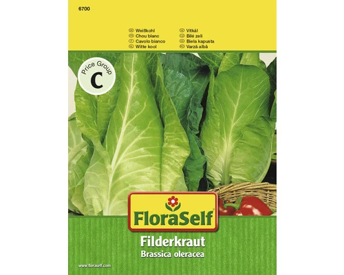 Weißkohl 'Filderkraut' FloraSelf Samenfestes Saatgut Gemüsesamen 3 Weißkohl 'Filderkraut' FloraSelf Samenfestes Saatgut Gemüsesamen
