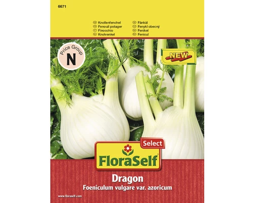 Knollenfenchel 'Dragon' FloraSelf F1 Hybride Gemüsesamen 3 Knollenfenchel 'Dragon' FloraSelf F1 Hybride Gemüsesamen