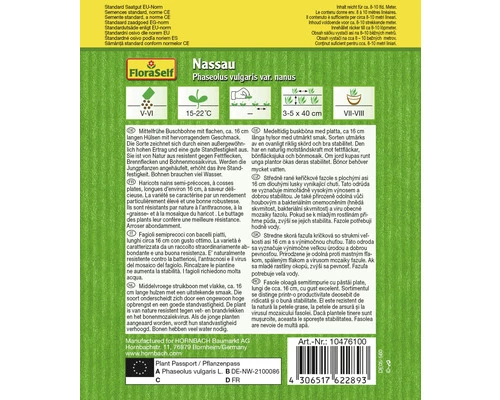 Buschbohnen 'Nassau' FloraSelf Samenfestes Saatgut Gemüsesamen 4 Buschbohnen 'Nassau' FloraSelf Samenfestes Saatgut Gemüsesamen – Bild 2