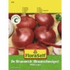 Zwiebel 'De Brunswick' FloraSelf Samenfestes Saatgut Gemüsesamen -Hornbach Gartenmarkt DV 8 10476105 01 4c AT 20220114084650