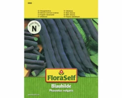 Stangenbohnen 'Blauhilde' FloraSelf Samenfestes Saatgut Gemüsesamen
