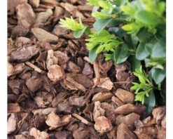 Pinienrinde FloraSelf 20-40 Mm Grob (45 Sack X 50 Liter= 2,25 M³) 1 Palette -Hornbach Gartenmarkt DV 8 10499992 04 4c DE 20220407164752