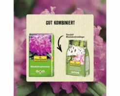 Rhododendron - & Moorbeetpflanzenerde FloraSelf (54 Sack X 40 Liter = 2,16 M³) 1 Palette -Hornbach Gartenmarkt DV 8 10535861 06 4c DE 20220414185120