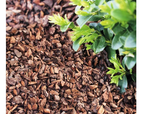 Pinienrinde Fein 7-15 Mm FloraSelf (45 Sack X 50 Liter = 2,25 M³) 1 Palette 8 Pinienrinde Fein 7-15 Mm FloraSelf (45 Sack X 50 Liter = 2,25 M³) 1 Palette – Bild 6