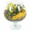 Zimmerpflanzen Arrangement Gelb FloraSelf Ø 17 Cm Glasvase Cognac -Hornbach Gartenmarkt DV 8 10620831 01 4c NL 20221214105634