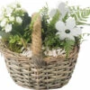 Zimmerpflanzen Arrangement FloraSelf Ø 19 Cm Pflanzkorb Schilf 2 Pflanzen -Hornbach Gartenmarkt DV 8 10620855 01 4c NL 20221214104933