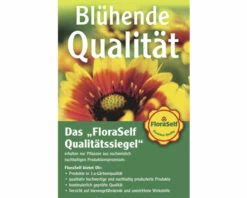 Kokodama-Ampel Kanonierblume FloraSelf Pilea Depressa H 25-30 Cm Ø 15 Cm Topf -Hornbach Gartenmarkt DV 8 2314661 01 4c DE 20210929121752 2