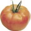 Fleischtomate FloraSelf Bio Lycopersicum Esculentum Var. Esculentum 'St Pierre' Ø 9 Cm Topf -Hornbach Gartenmarkt DV 8 4045437 02 4c AT 20200120084757
