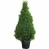 Sicheltanne FloraSelf Cryptomeria Japonica 'Elegans' H 140-160 Cm Co 35 L -Hornbach Gartenmarkt DV 8 4610985 01 4c CH 20181022061752
