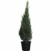 Säulenwacholder FloraSelf Juniperus Virginiana 'Blue Arrow' H 170-190 Cm Co 30 L -Hornbach Gartenmarkt DV 8 4610995 01 4c CH 20181022064755