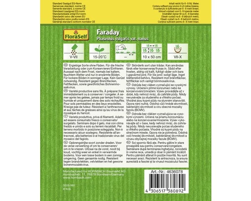 Buschbohne 'Faraday' FloraSelf Samenfestes Saatgut Gemüsesamen 4 Buschbohne 'Faraday' FloraSelf Samenfestes Saatgut Gemüsesamen – Bild 2