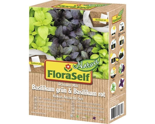 Kokos Anzucht-Set Basilikum Grün & Basilikum Rot FloraSelf Nature 4 Kokos Anzucht-Set Basilikum Grün & Basilikum Rot FloraSelf Nature – Bild 2
