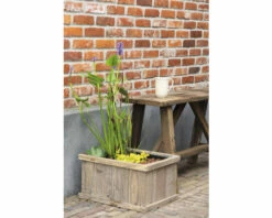 Miniteich 'Brussels Brown' FloraSelf Mit Pflanzen Inkl. Treibring 40 Cm Holzkiste