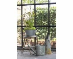 Miniteich FloraSelf Mit Pflanzen Inkl. Treibring Ø 40 Cm Zink-Schale