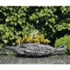 Winterling FloraSelf Eranthis Hyemalis Ø 9 Cm Topf -Hornbach Gartenmarkt DV 8 5627545 03 4c DE 20170309111336