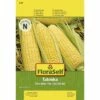 Zuckermais 'Tatonka' FloraSelf F1 Hybride Gemüsesamen 2 Zuckermais 'Tatonka' FloraSelf F1 Hybride Gemüsesamen -Hornbach Gartenmarkt DV 8 5650724 01 4c AT 20180108110705